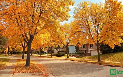 Fall Is Here: Top 3 Tips To Keep HVAC Costs Low This Season
