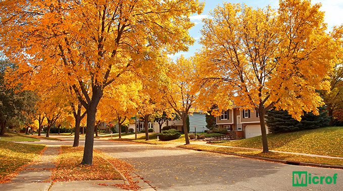 Fall Is Here: Top 3 Tips To Keep HVAC Costs Low This Season