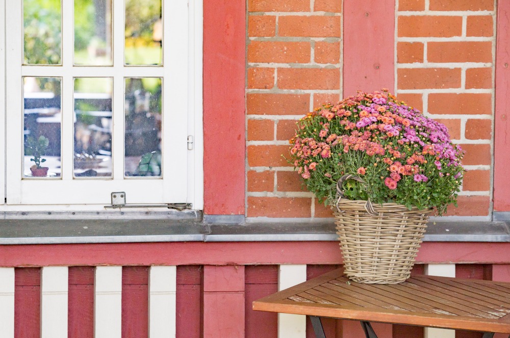 Home Maintenance Tips for Spring
